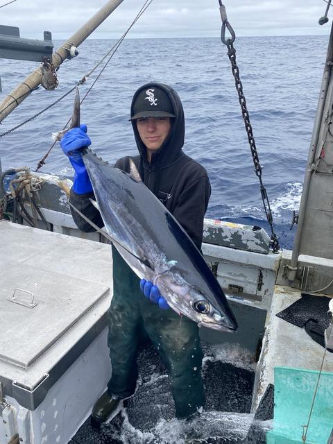 A deckhand holding up a tuna on a fishing boat at sea