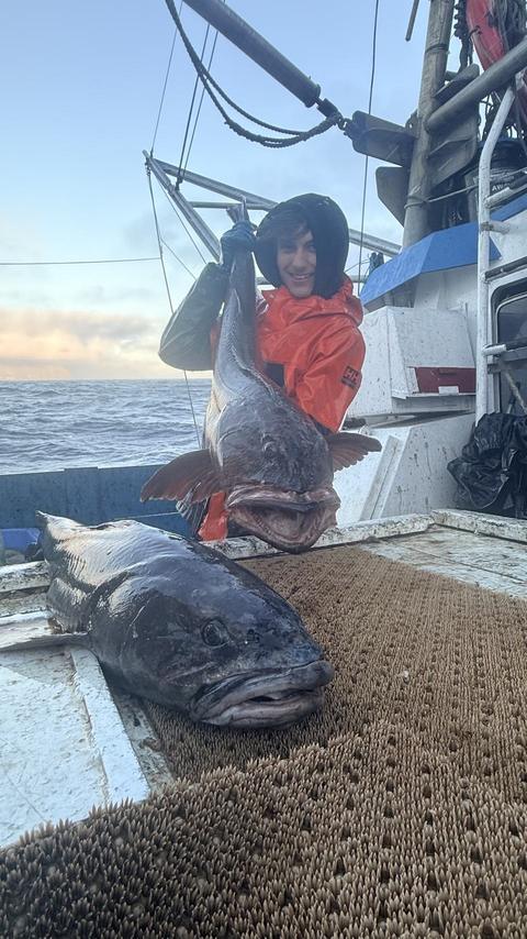 A crew member holding up a large fish on the deck of a boat