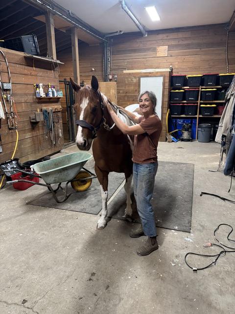 A woman grooming a horse inside a barn